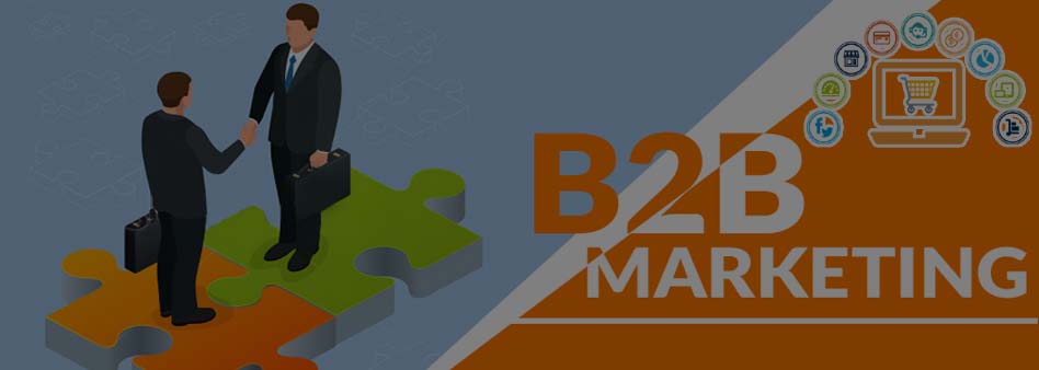b2b Website Development Company In Cuttack