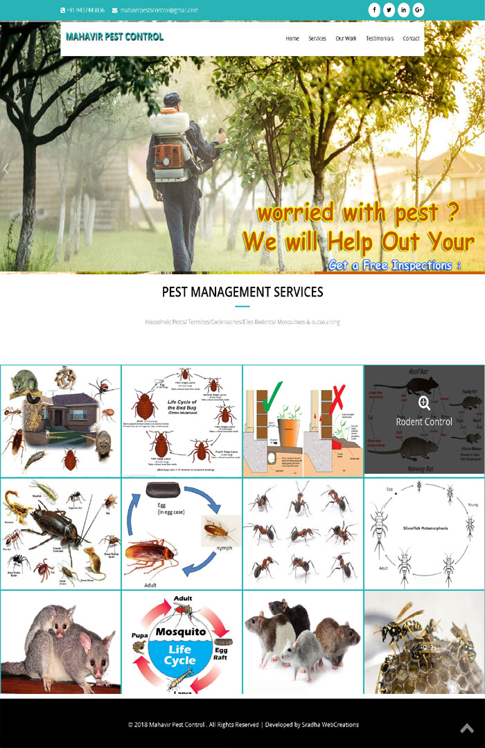 Best shopify store design agency